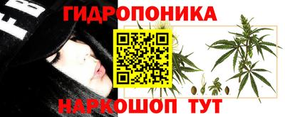 не бодяженный Краснознаменск